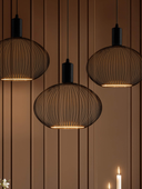 Floating Filo Cage Oval sort Ø300 E27 LED designpære